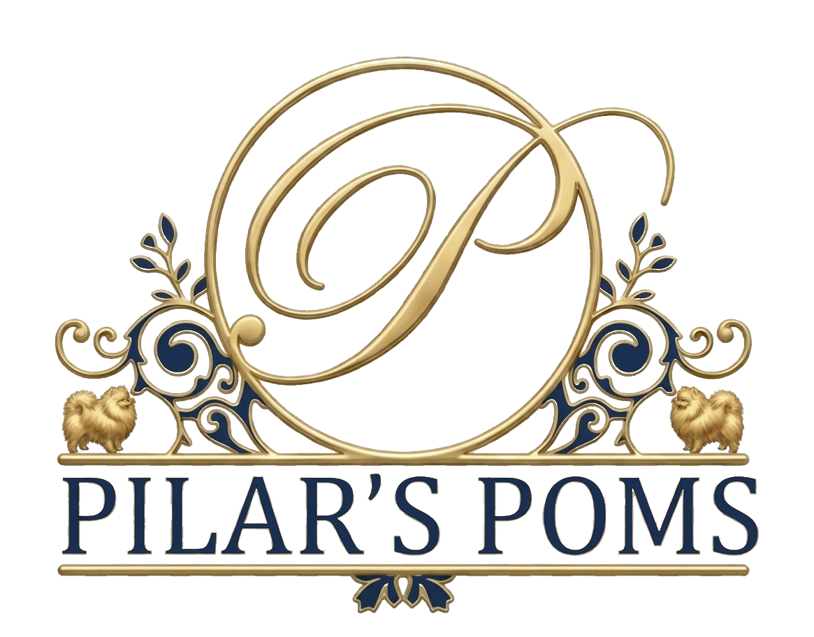 PILAR POMS